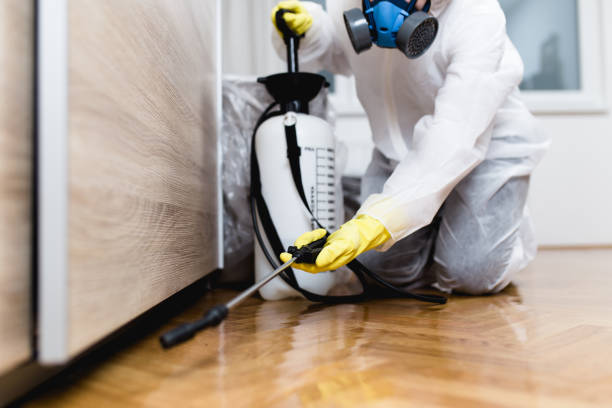 Best Insect Control  in Newark, IL