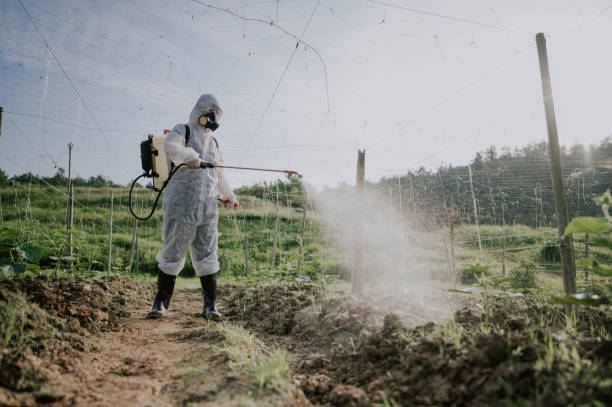Best Pest Prevention Services  in Newark, IL