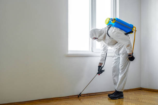 Best Pest Control Near Me in Newark, IL