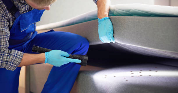 Best Affordable Pest Control Services  in Newark, IL