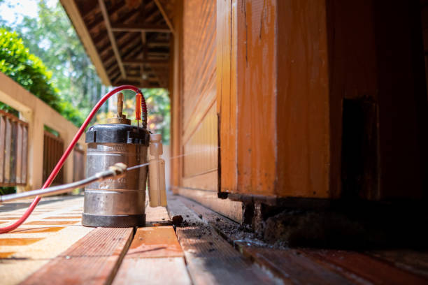Best Cockroach Control Services  in Newark, IL