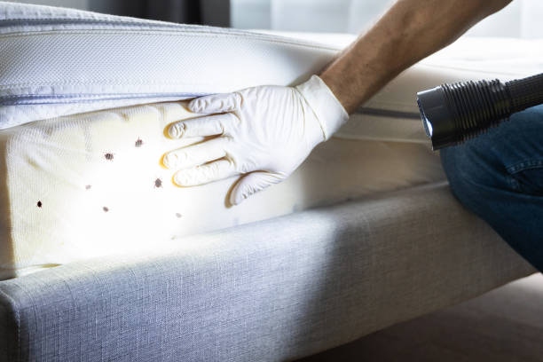 Best Residential Pest Control  in Newark, IL