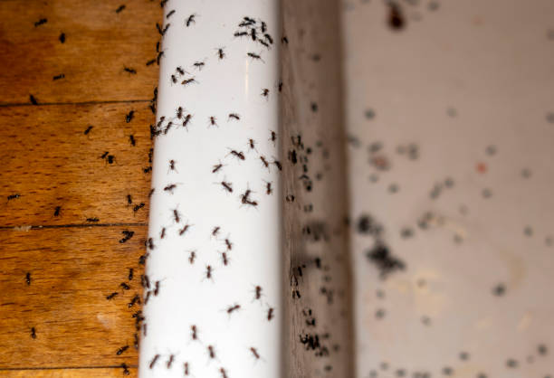 Best Wildlife Control Services  in Newark, IL
