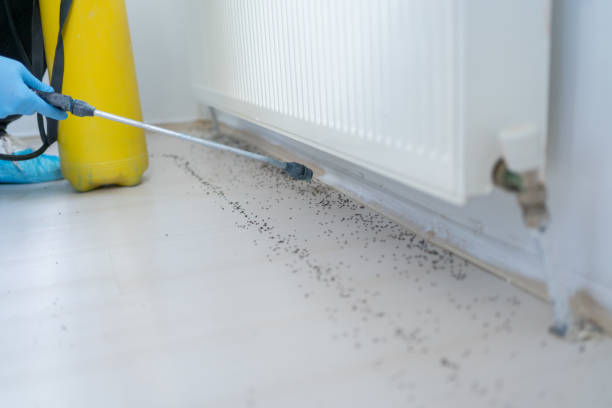 Professional Pest Control in Newark, IL
