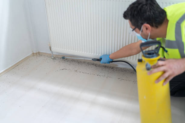 Best Local Pest Control Services  in Newark, IL
